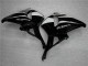 ABS Kits Carenado Moto CBR 600 RR 2005-2006 - Negro ABS Kits Carenado Moto CBR 600 RR 2005-2006 - Negro