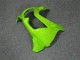 ABS Kits Carenado Moto EX250 2008-2012 - Verde Negro Ninja ABS Kits Carenado Moto EX250 2008-2012 - Verde Negro Ninja