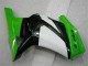 ABS Moto Plástico EX250 2008-2012 - Verde Negro Ninja