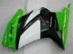 ABS Moto Plástico EX250 2008-2012 - Verde Negro Ninja