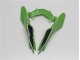 ABS Moto Plásticos EX300 2013-2016 - Verde Negro ABS Moto Plásticos EX300 2013-2016 - Verde Negro