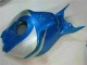 Carenado Moto CBR 1000 RR 2006-2007 - Azul Plata