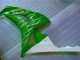 Carenado Moto CBR 1000 RR 2006-2007 - Verde Carenado Moto CBR 1000 RR 2006-2007 - Verde