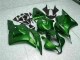 Carenado Moto CBR 600 RR 2009-2012 - Verde Carenado Moto CBR 600 RR 2009-2012 - Verde