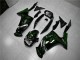 Carenado Moto EX650 2006-2008 - Verde Llama Carenado Moto EX650 2006-2008 - Verde Llama