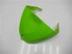 Carenados Moto ZX6R 2005-2006 - Verde