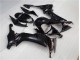 Carrocería Motocicletas ZX10R 2008-2010 - Brillante Negro Carrocería Motocicletas ZX10R 2008-2010 - Brillante Negro