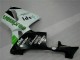 Kit Carenado ABS Completo CBR 600 RR 2005-2006 - Verde Kit Carenado ABS Completo CBR 600 RR 2005-2006 - Verde