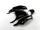 Kit Completo Carenado Moto ZX14R ZZR 1400 2012-2021 - Negro Verde