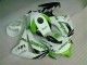 Kits Completo Carenado Moto CBR 1000 RR 2008-2011 - Verde Blanco