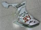 Moto Plástica R1 2007-2008 - Blanco Moto Plástica R1 2007-2008 - Blanco