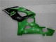 Plástica Moto GSXR 1000 K5 2005-2006 - Verde Plástica Moto GSXR 1000 K5 2005-2006 - Verde