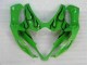 Plástico Moto GSXR 1000 K5 2005-2006 - Verde Plástico Moto GSXR 1000 K5 2005-2006 - Verde