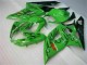 Plástico Moto GSXR 1000 K5 2005-2006 - Verde Plástico Moto GSXR 1000 K5 2005-2006 - Verde