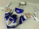 Plástico Moto R1 2007-2008 - Azul Plástico Moto R1 2007-2008 - Azul